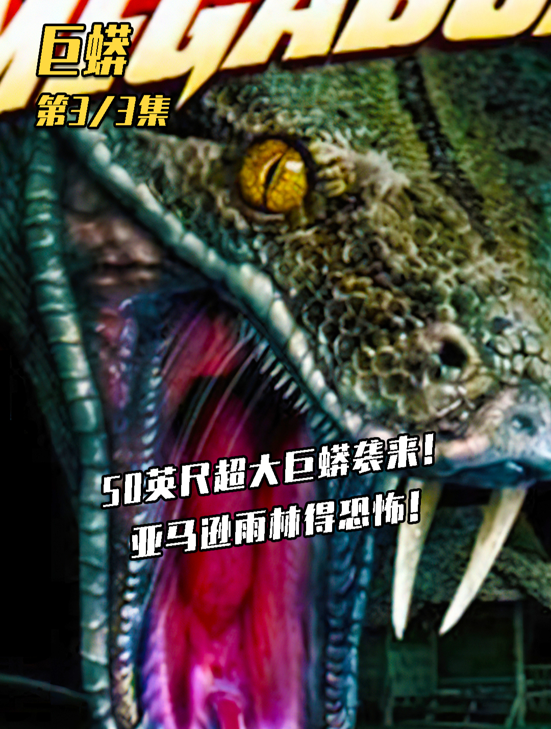 超恐怖电影《巨蟒》震撼来袭!在这小小的雨林里,竟不止一条巨蟒