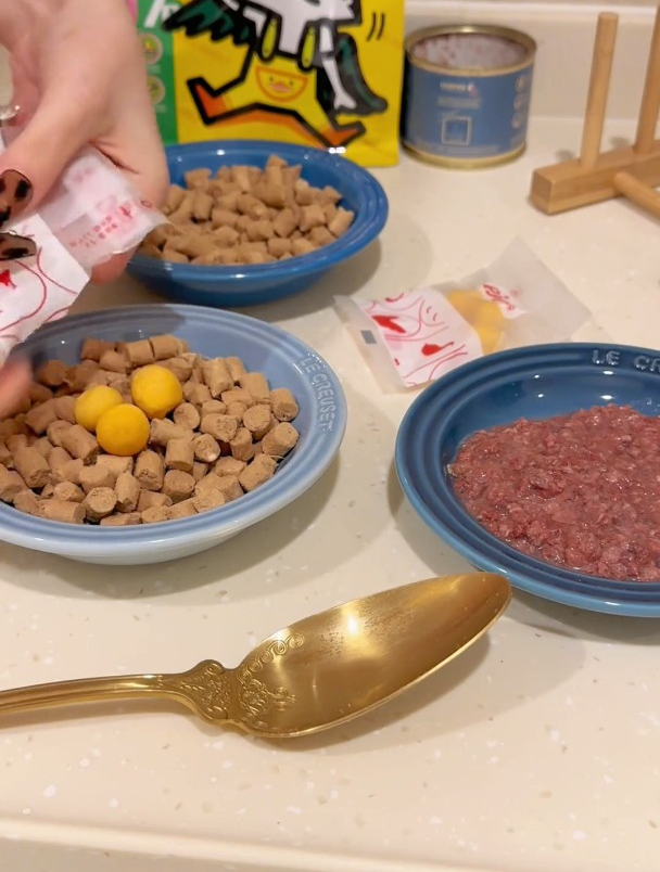 有熏肉味的猫咪罐头,闻着我也想来一口