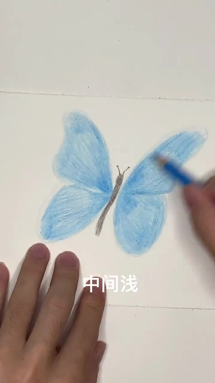 彩铅画,画一只小蝴蝶