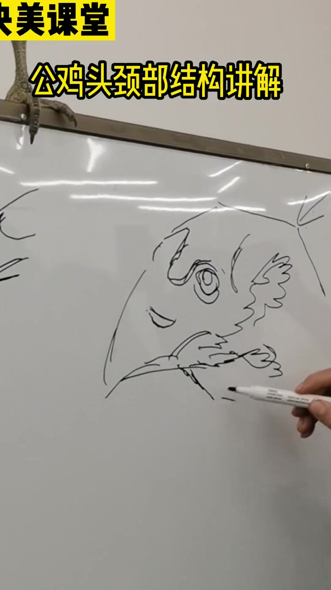 “青年斗鸡”头颈部结构研究 中国画