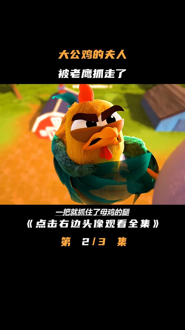 母鸡意外成了无头鸡,这让大公鸡一时间难以接受