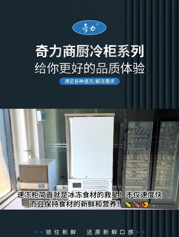 商用大容量插盘推车式生胚包子馒头饺子海参负-40-80度急冻速冻柜