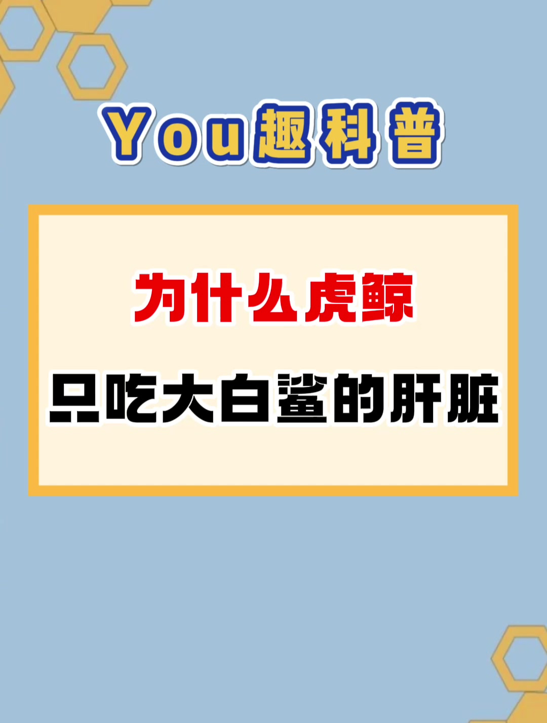 为什么虎鲸只吃大白鲨的肝脏而不吃它们的肉