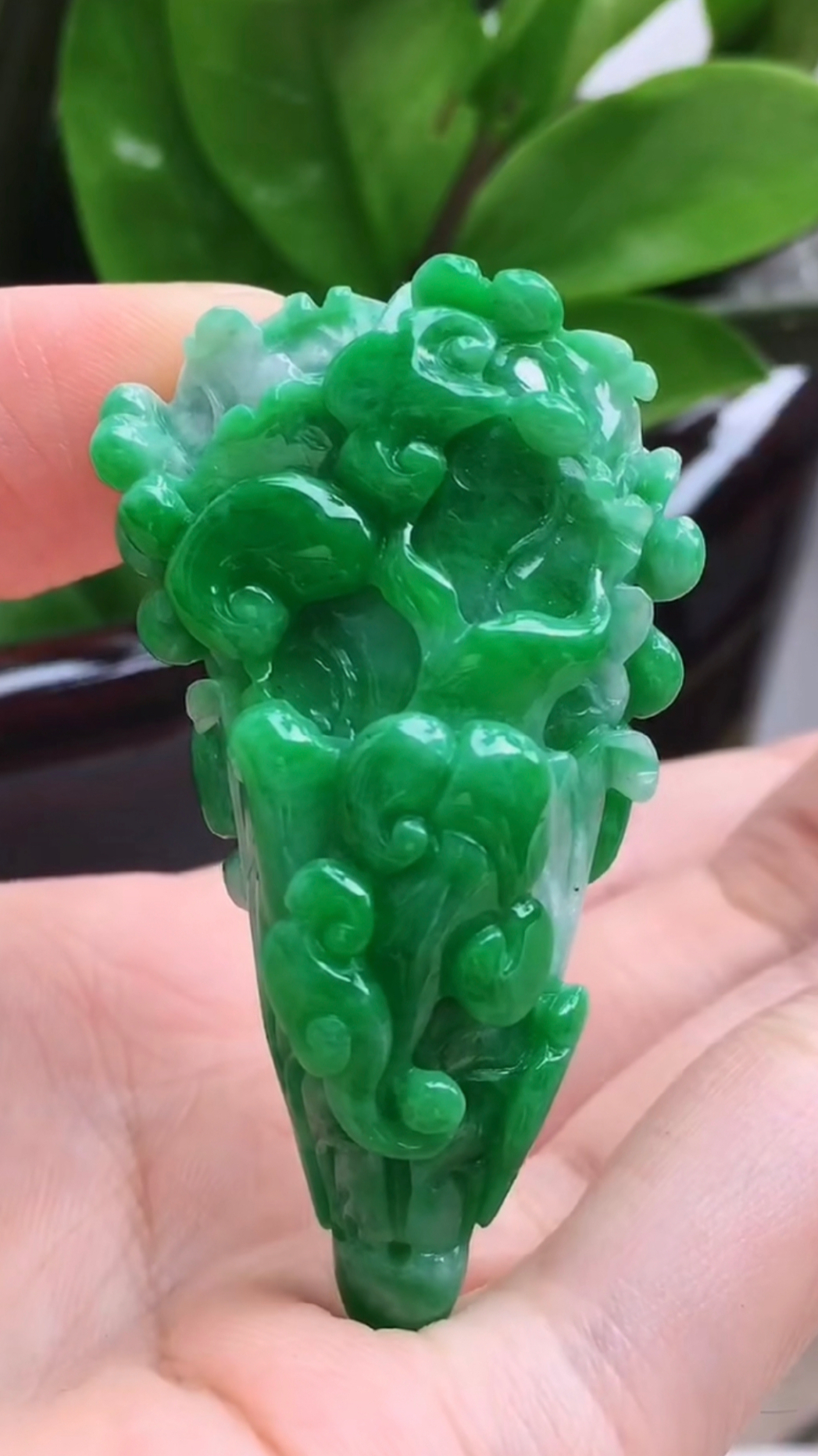 中缅边境糯种满色辣绿翡翠白菜