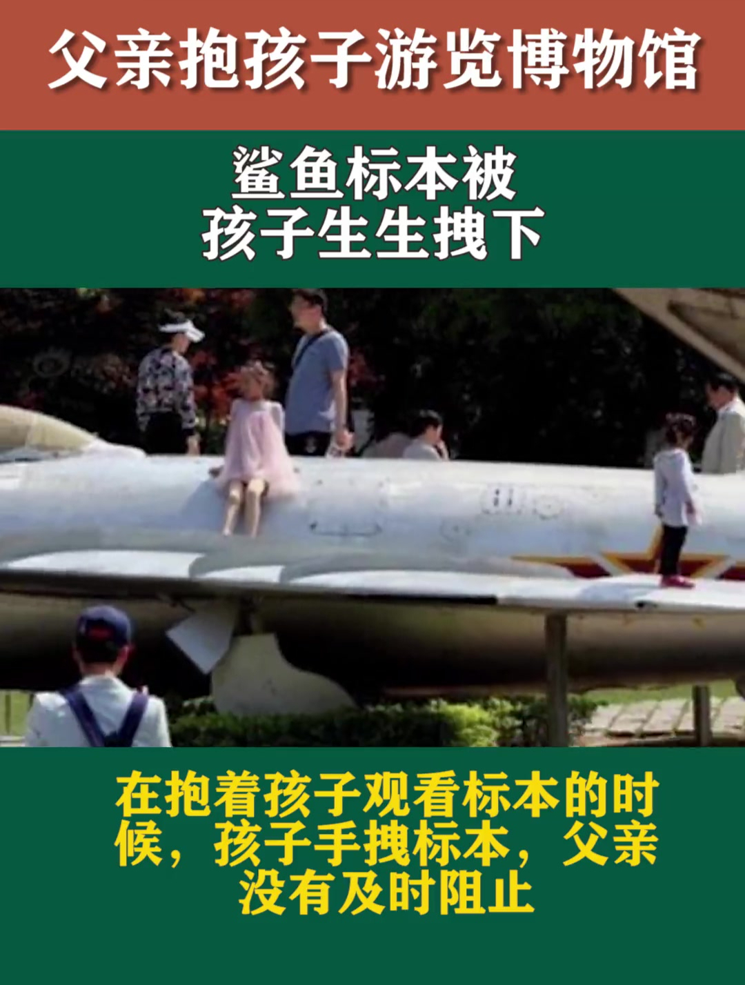 父亲抱着孩子游览博物馆,鲨鱼标本被孩子生生拽下,网友:完蛋了