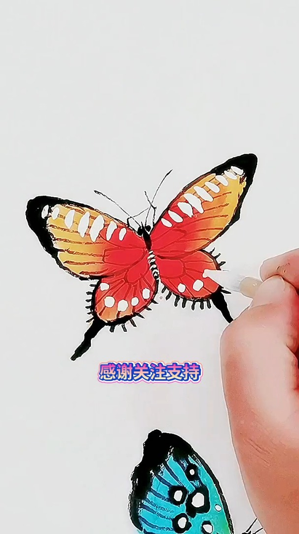 教你画蝴蝶,蝴蝶,美丽蝴蝶,画蝴蝶