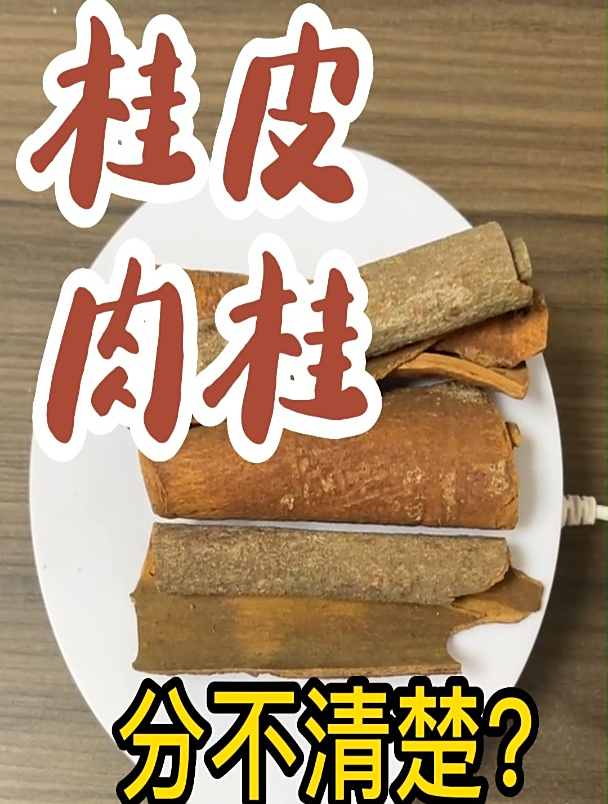 桂皮和肉桂的区别,你了解多少?看娃这个视频你就知道了