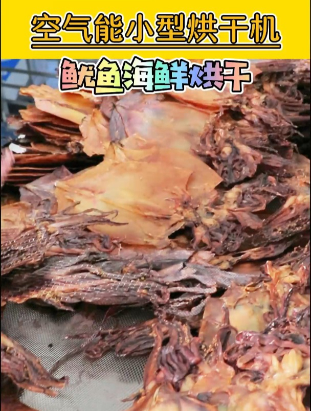 烘干机烘干鱿鱼干,省人工又省时间,轻轻松松利润翻倍