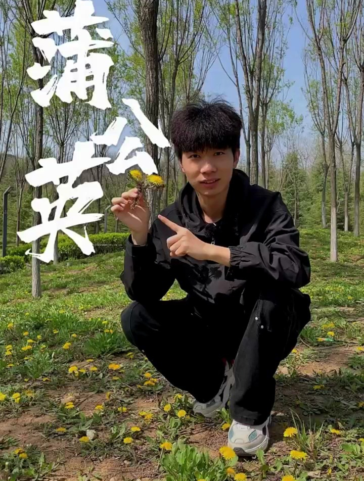 又到了吃野菜的季节,这可是春天的味道,你了解蒲公英吗