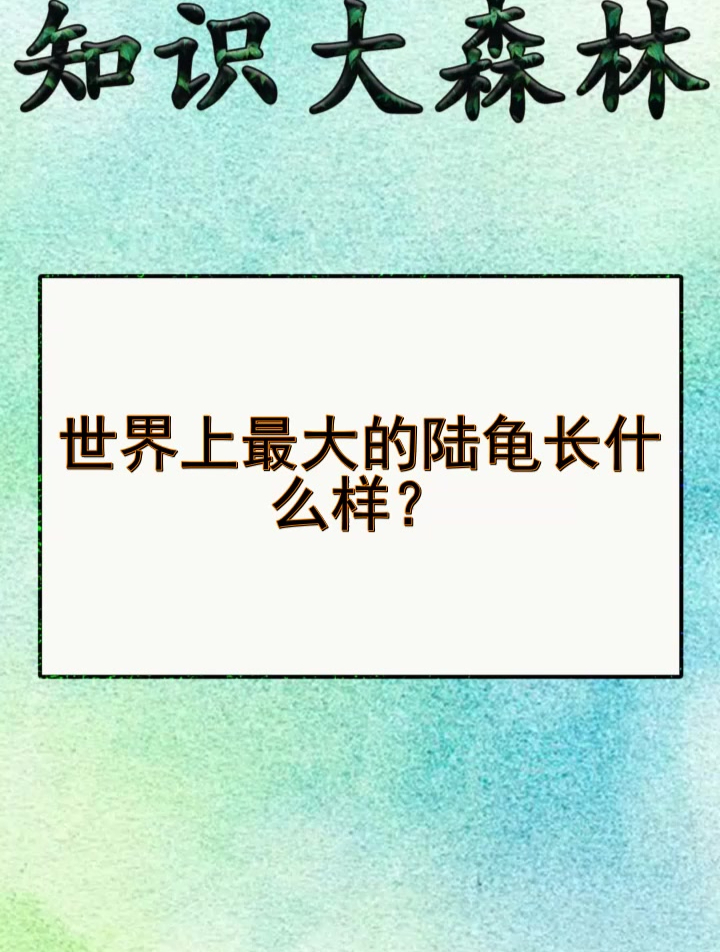 世界上最大的陆龟长什么样?