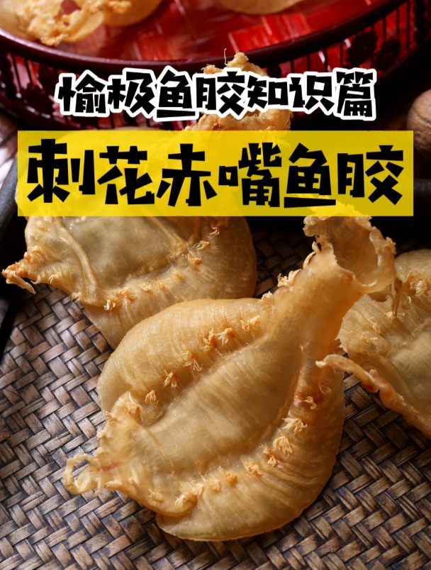 刺花赤嘴鱼胶 本港赤嘴鱼胶中的天花板