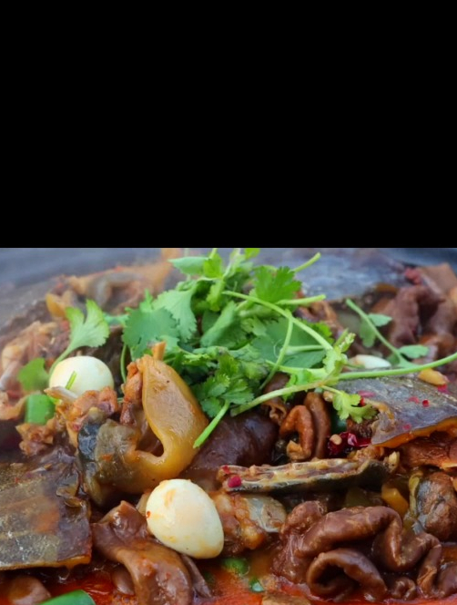 一捆肥肠,2只黄金甲鱼,食叔秘制“甲鱼肥肠煲”,越吃越香