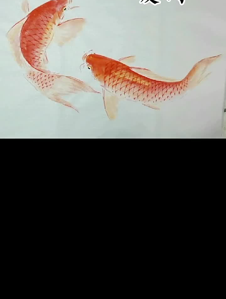 国画国风合伙人国画鲤鱼国画锦鲤写意鲤鱼写意鱼水墨鲤鱼