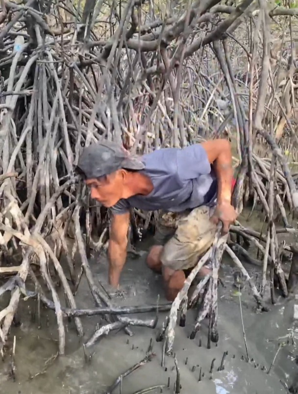 野生海黄鳝大货在藏在底下2米深也逃不出大师的技术上货
