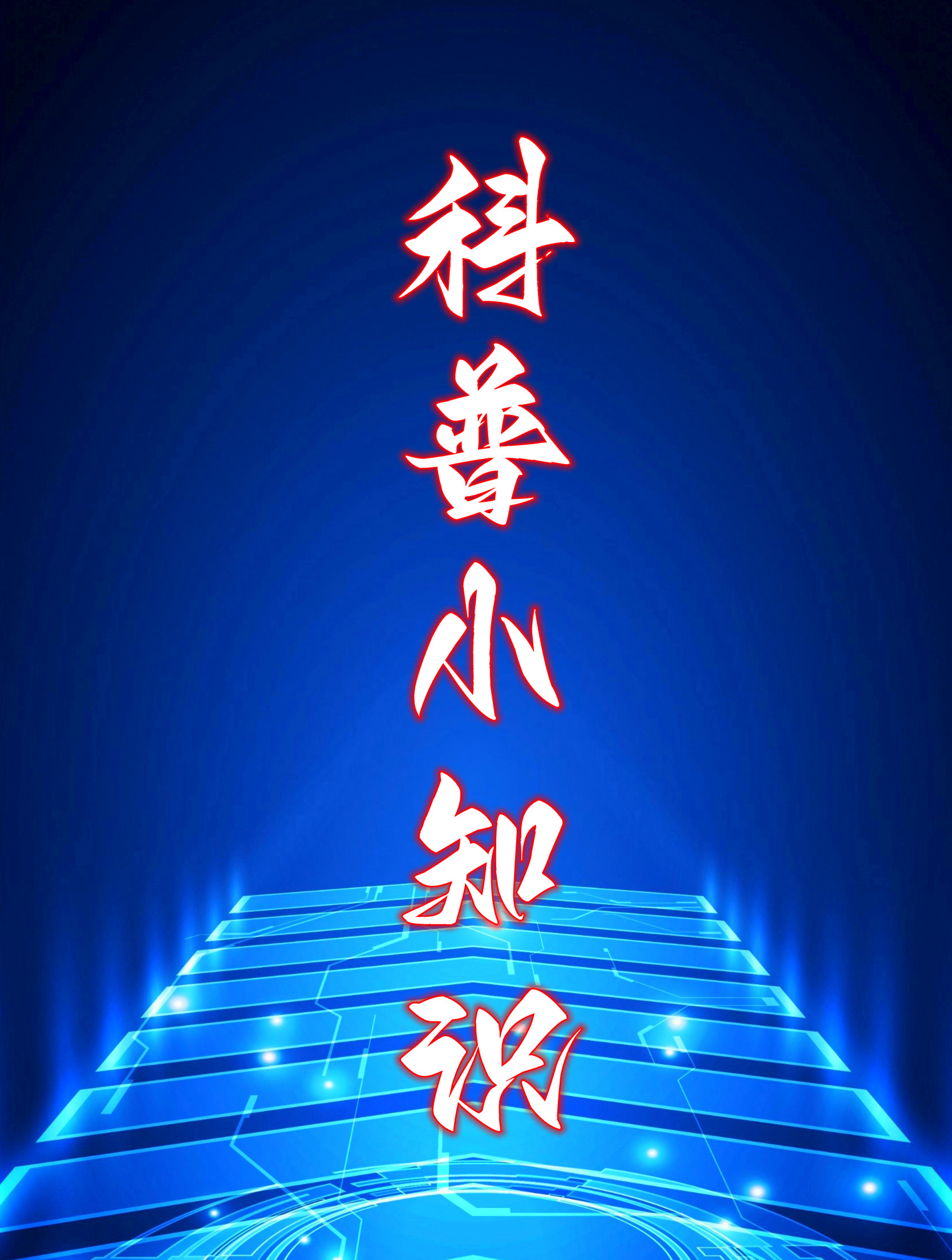 普京经历过哪几任乌克兰总统?他们在位时,对俄罗斯是什么态度?