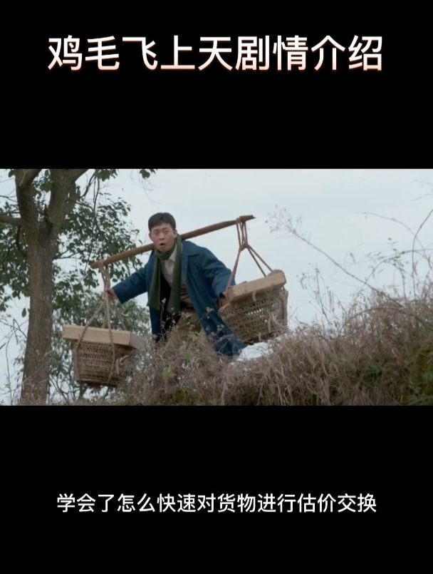 鸡毛飞上天剧情介绍