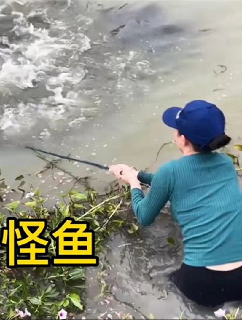 姑娘嫁到湖南十年,对鱼塘进行撒网捕鱼,十年后的鱼会有多大2
