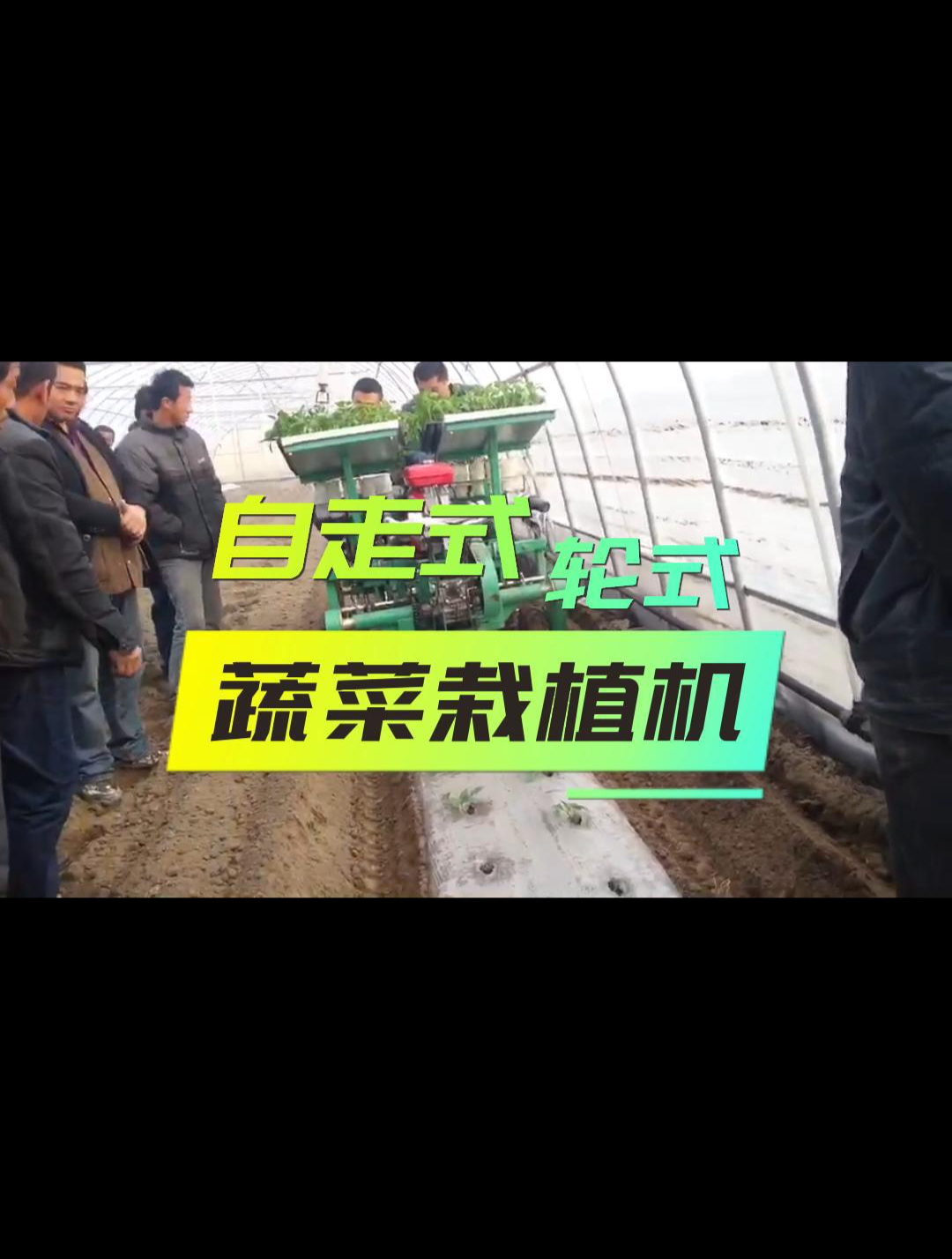 自走式蔬菜移栽机