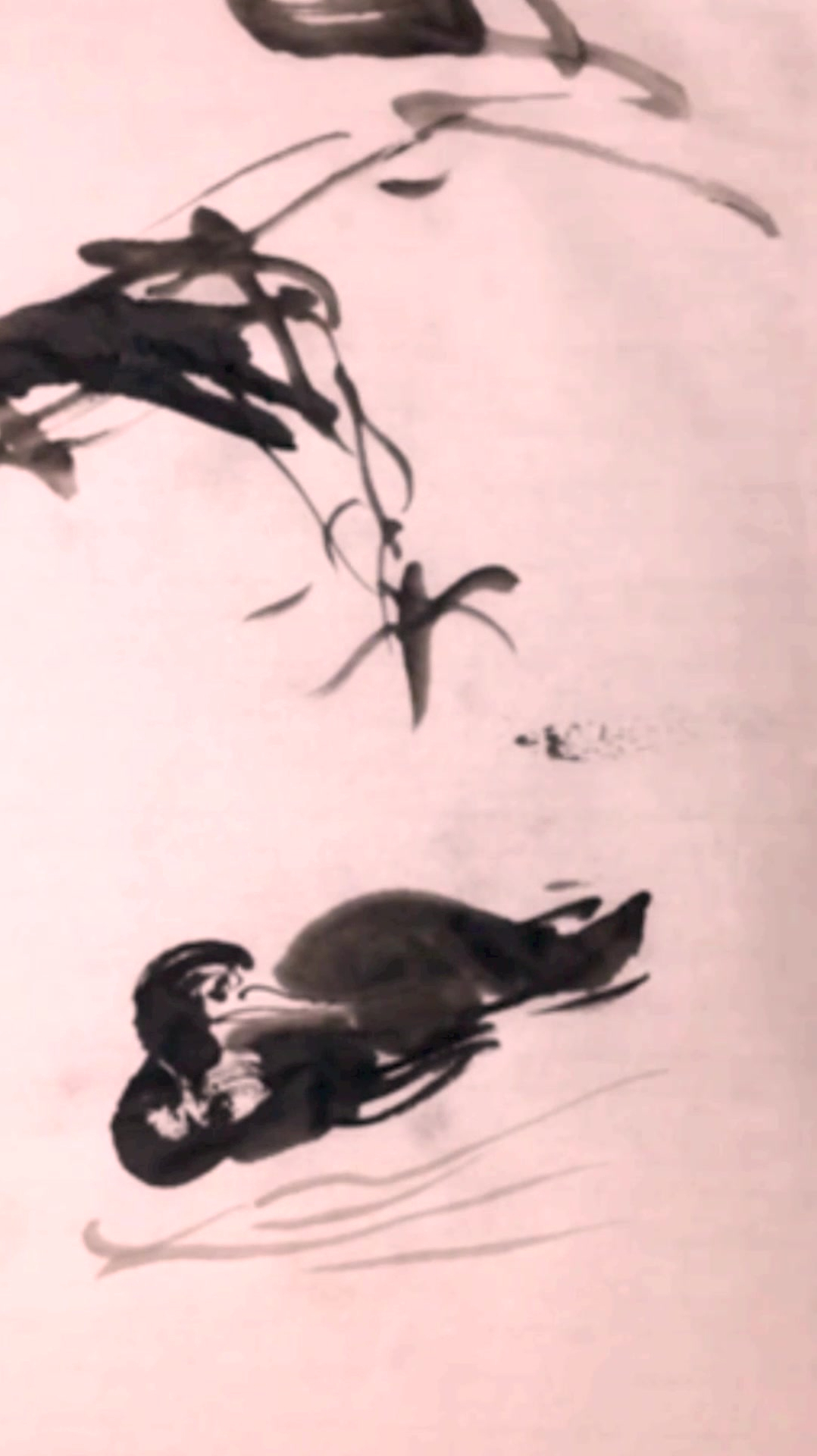 水墨写意画鸟之老鸭子