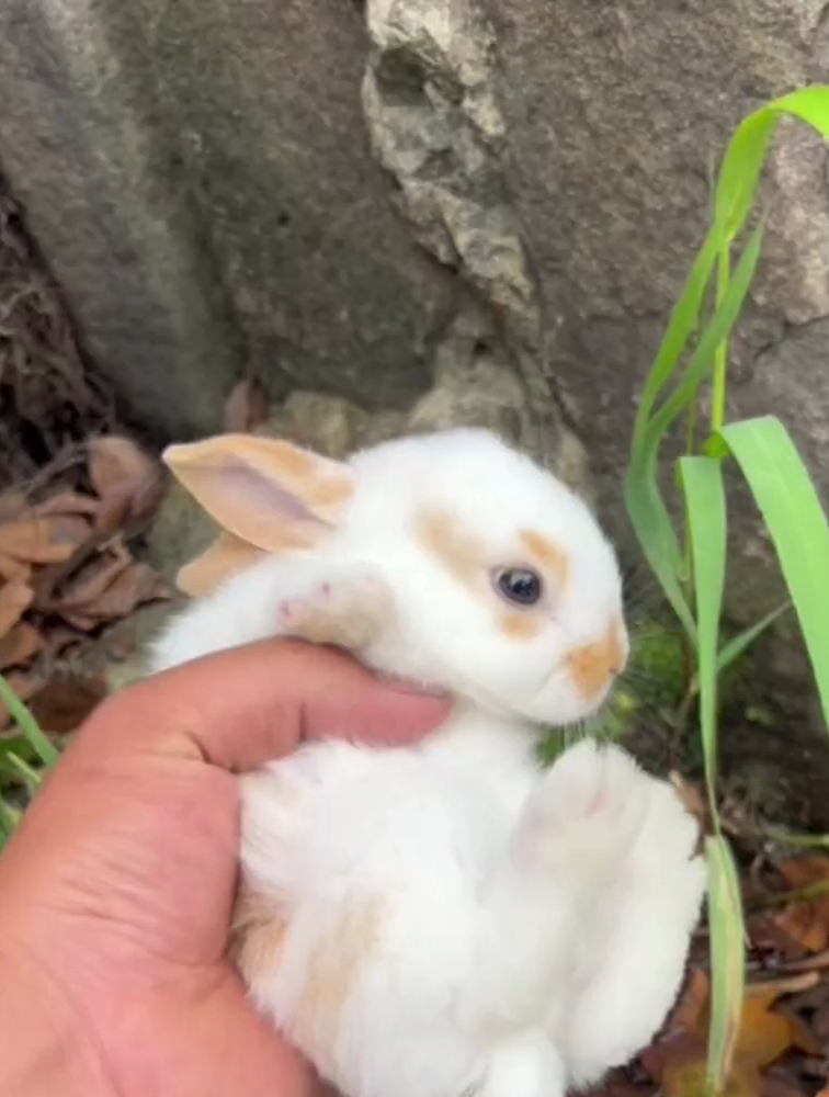 出去抓鱼意外收获
