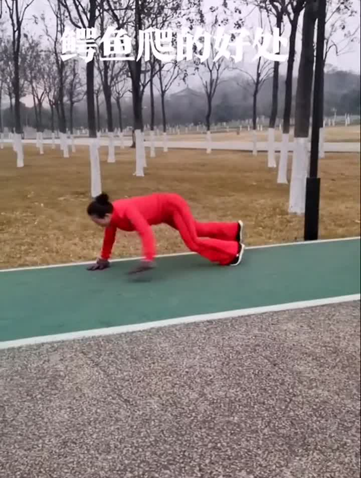 每天练习鳄鱼爬行,对身体大有好处,你学会了吗?