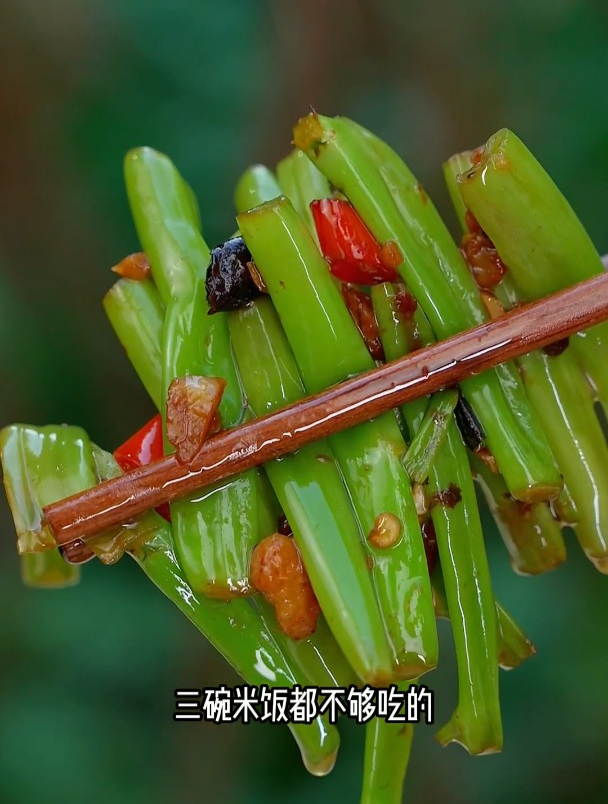 空心菜在你们当地叫什么菜?