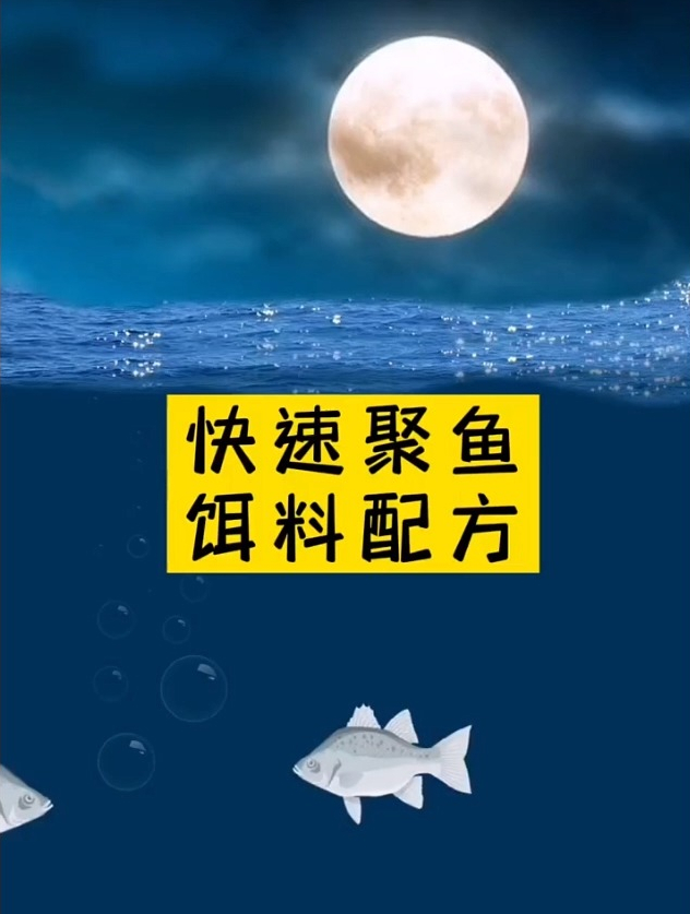 你知道快速聚鱼的饵料配方?分享给大家,记得一定要看完哦!
