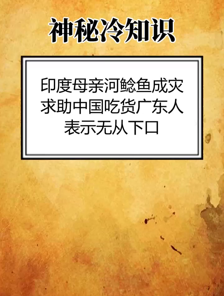 印度母亲河鲶鱼成灾 求助中国吃货 广东人表示无从下口