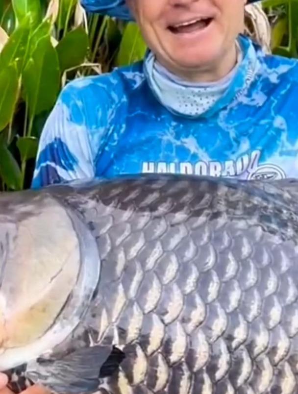 鱼线多大拉力才算合格?老师傅这样判断,少走10年弯路!