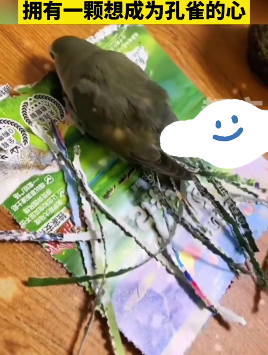 一只会做手工剪纸的鸟儿,拥有一颗想成为孔雀的心!