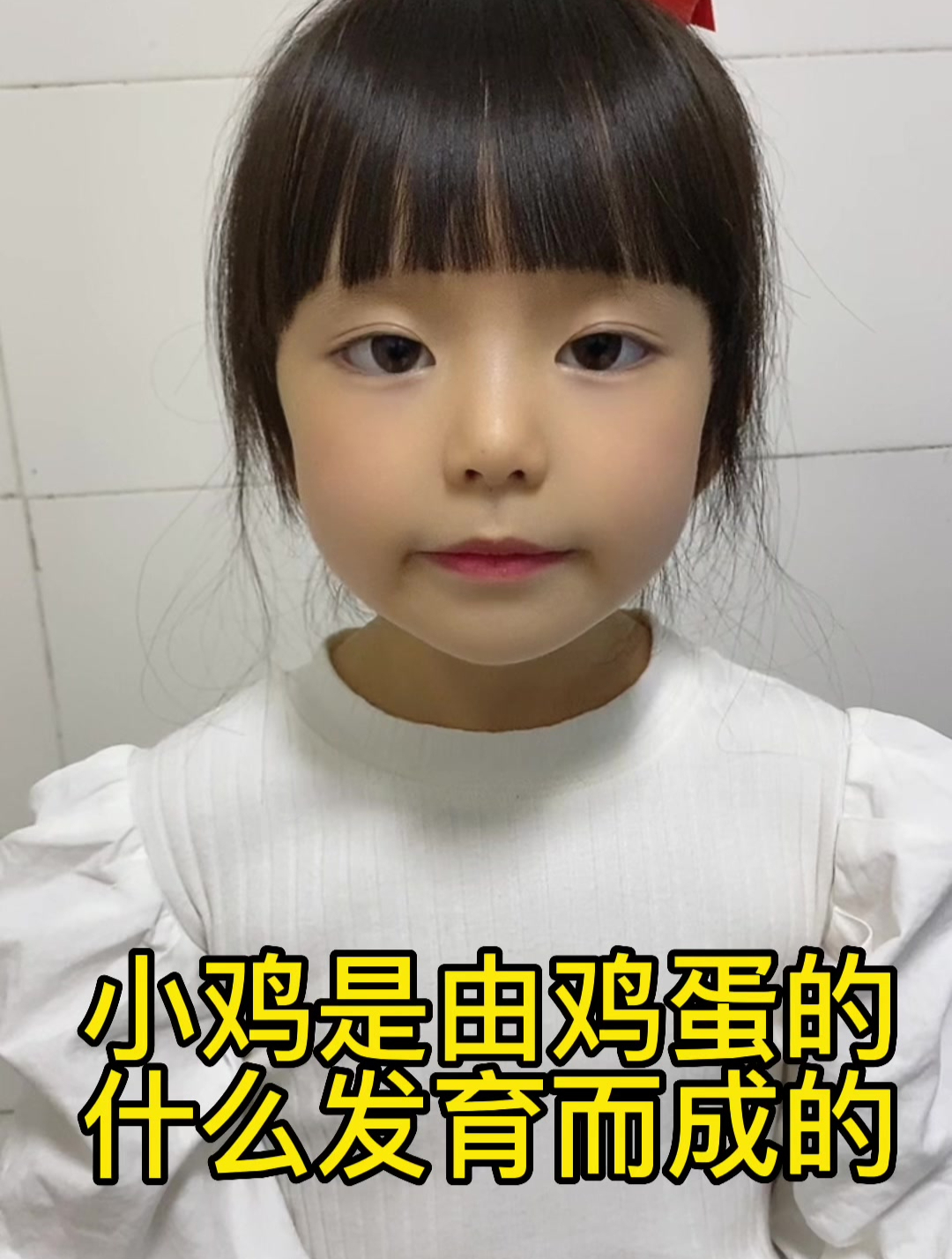小鸡是由鸡蛋的什么发育而成的?