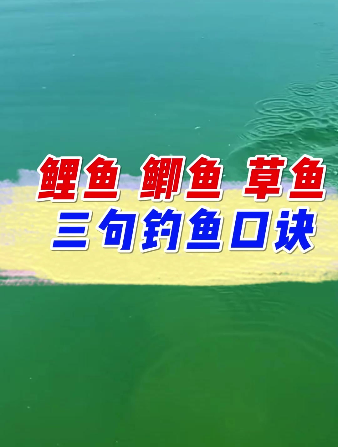 鲤鱼,鲫鱼,草鱼三句钓鱼口诀,你知道几个?