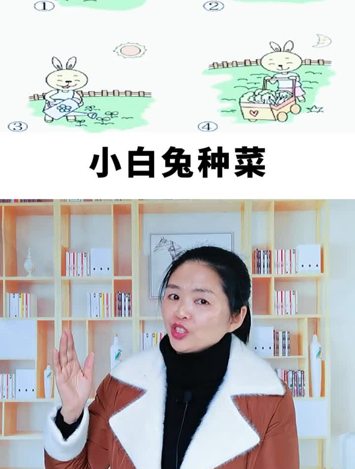 一二年级看图写话小白兔种菜每天一分钟学习一幅看图写话