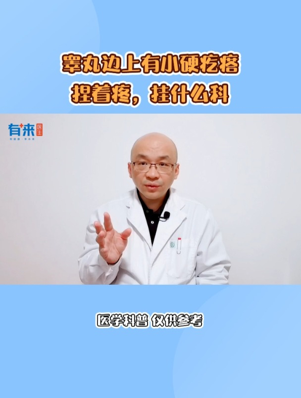 睾丸边上有小硬疙瘩捏着疼,挂什么科