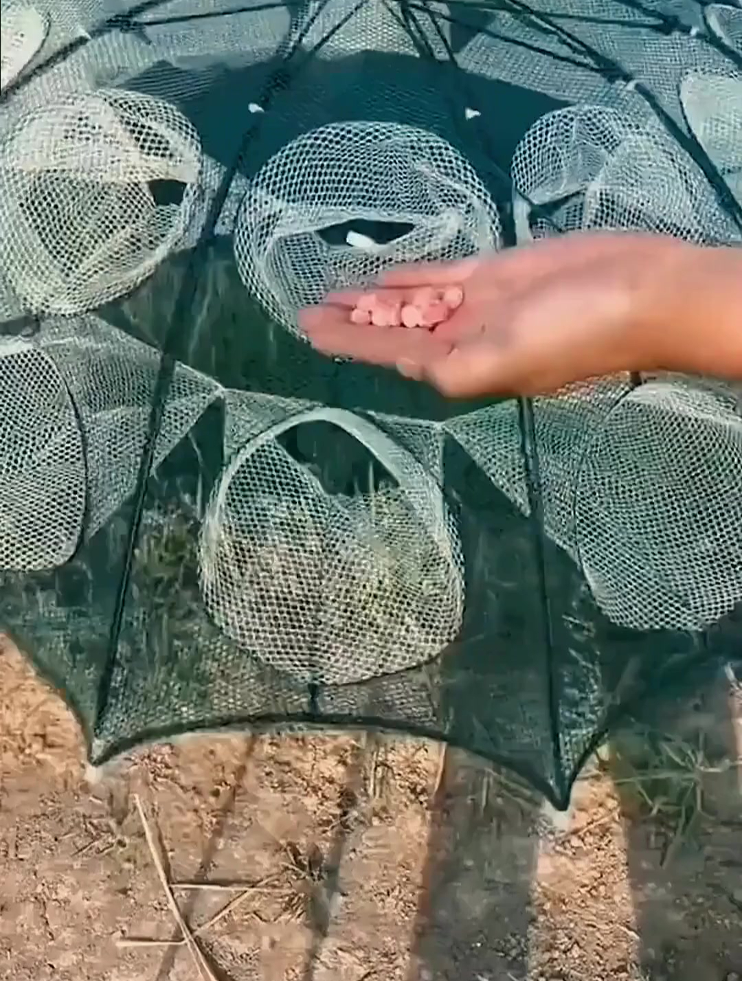 大号地笼捕鱼网虾笼鱼笼渔网捕鱼网 户外捕鱼 捕鱼笼 逮鱼摸虾