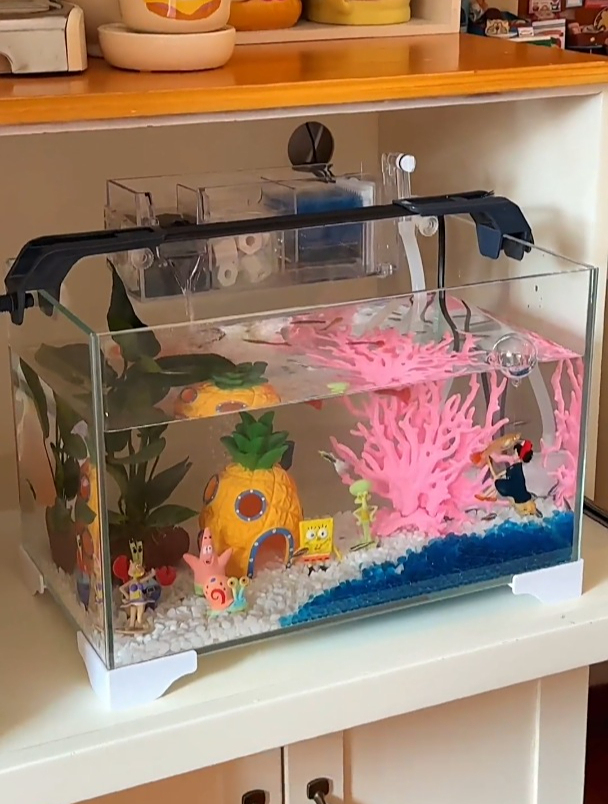 一起沉浸式布置鱼缸吧,小鱼在海绵宝宝的海底世界
