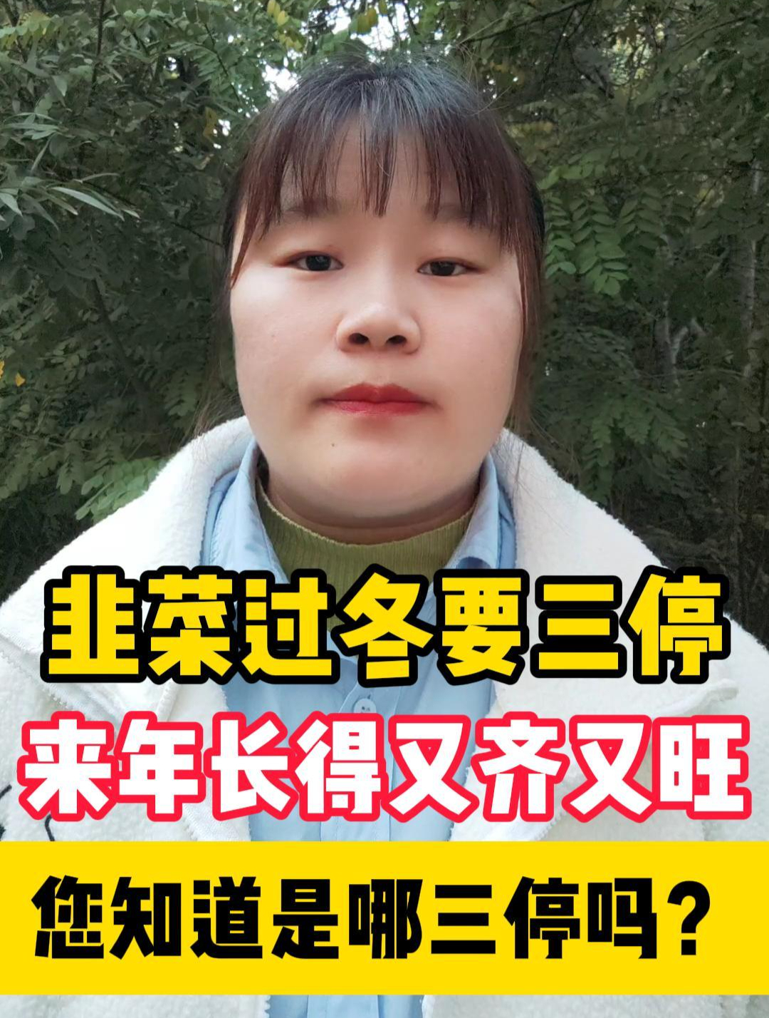 韭菜过冬要三停,来年长的壮又齐