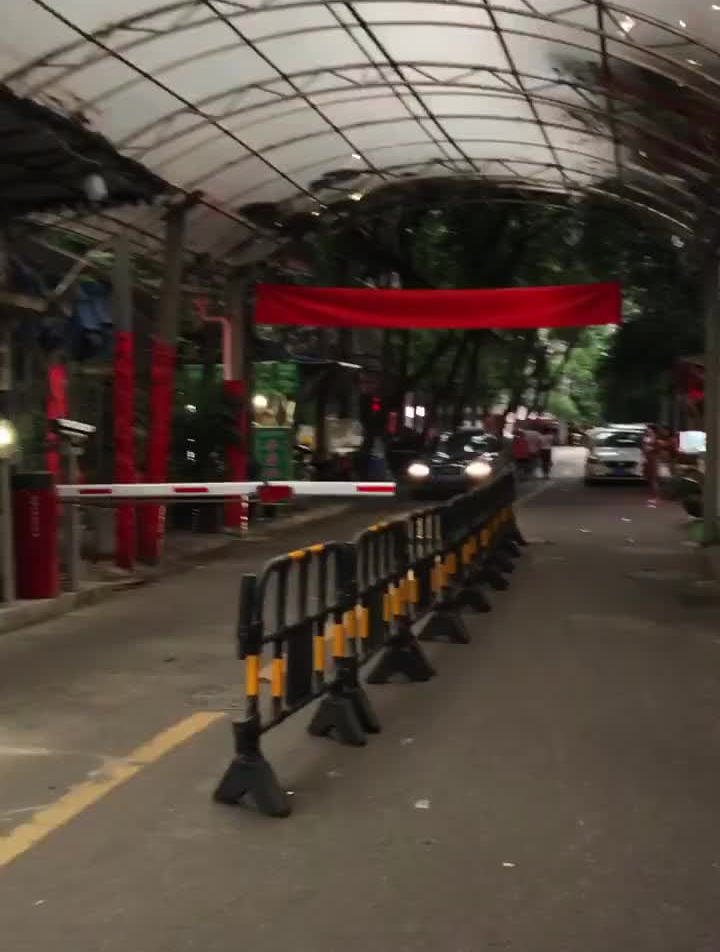 盘盘第一!中间烤肉烤鸭肠,外圈炸凉粉,性价比高到哭!