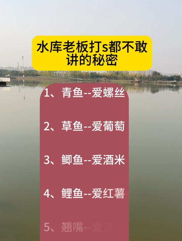 青鱼爱螺蛳,草鱼爱普通,鲫鱼和鲤鱼爱吃什么?