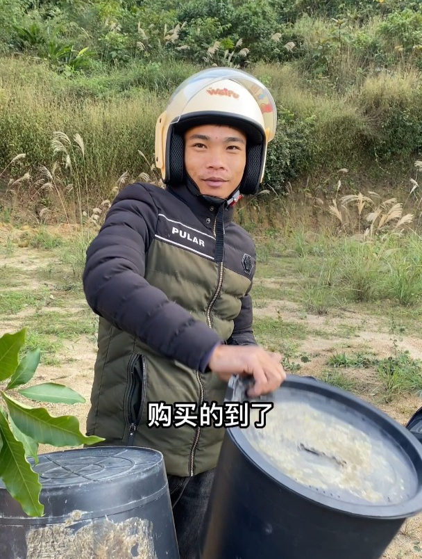 你们冬天是靠什么花期才有蜜蜂分蜂呢