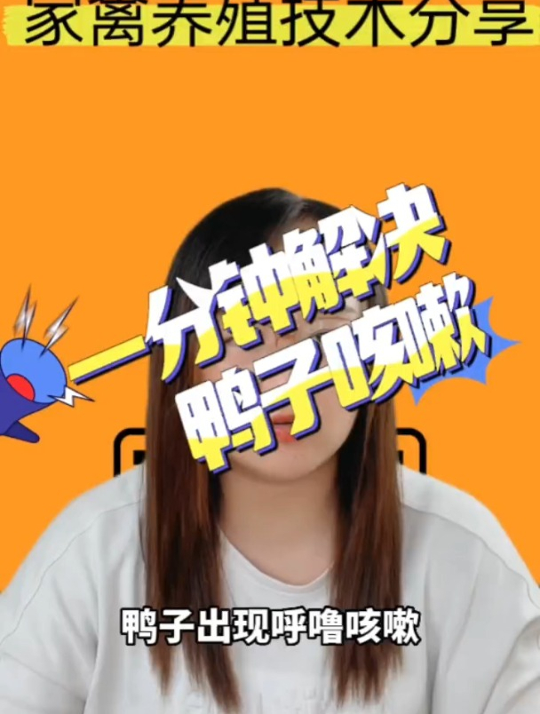 一分钟解决鸭子咳嗽?鸭子咳嗽用什么?鸭子咳嗽喘气喂什么好?