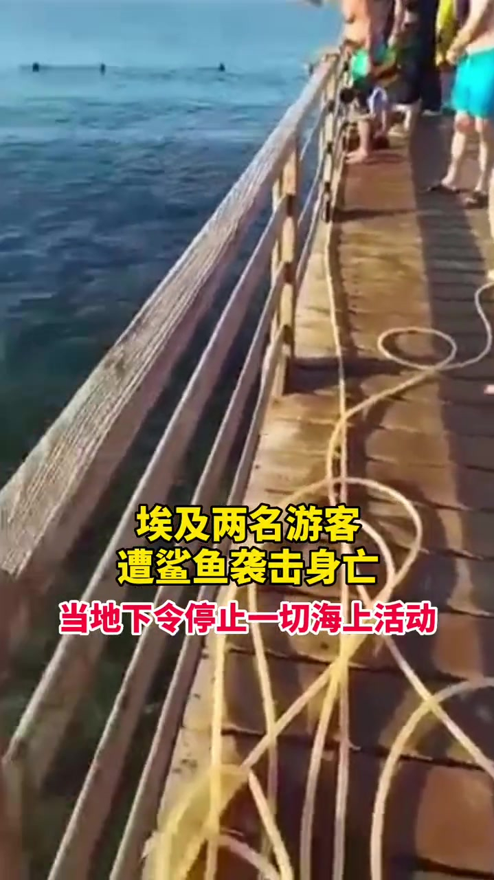 埃及发生鲨鱼袭击事件,两名外国女游客被咬死