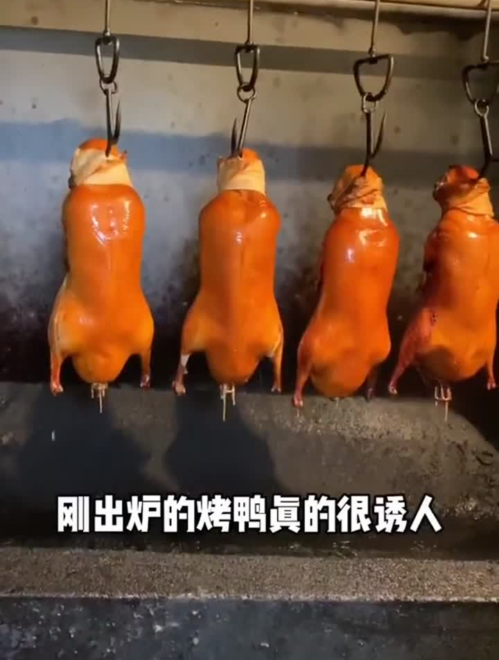 福州也能吃到地道的北京烤鸭!浪计划浪吃五百斤美食趣胃计划