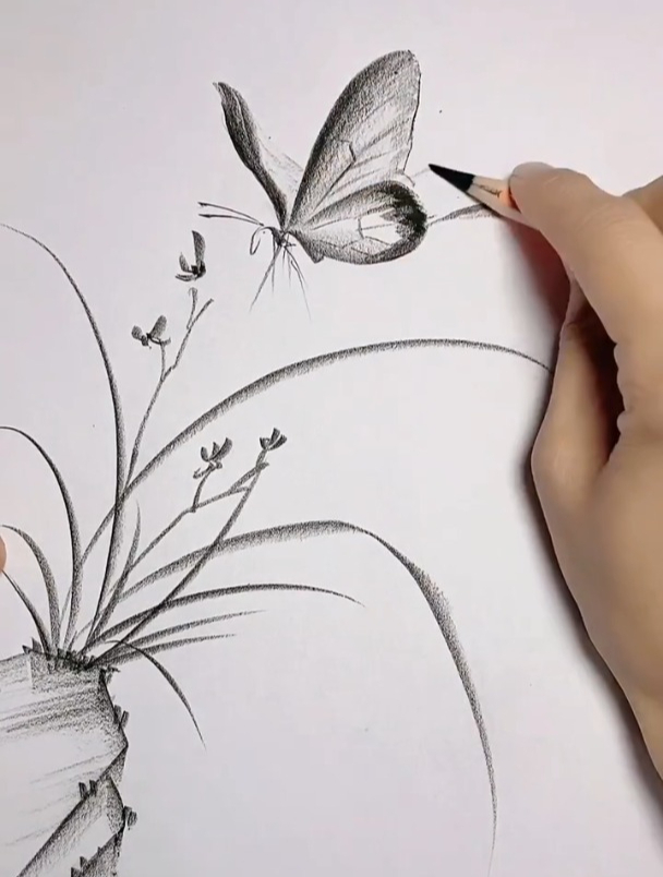 简单易学画兰花草