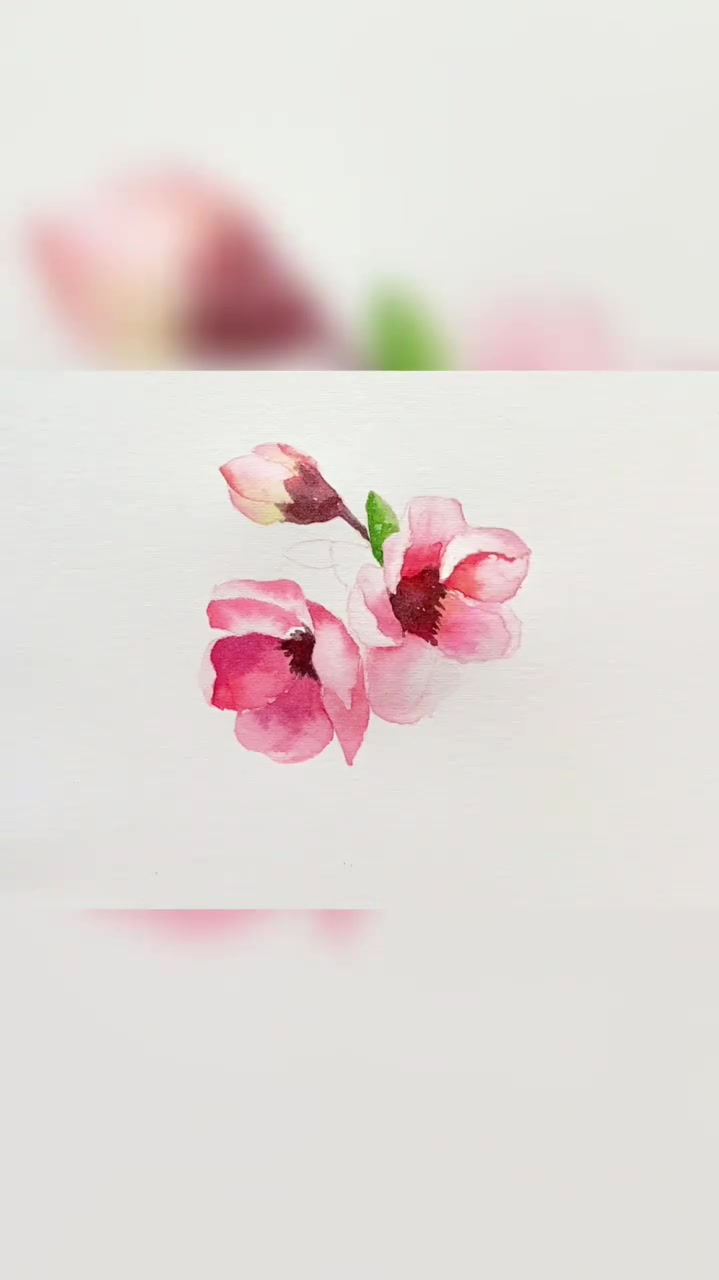 每日一画,水彩桃花朵朵,教程