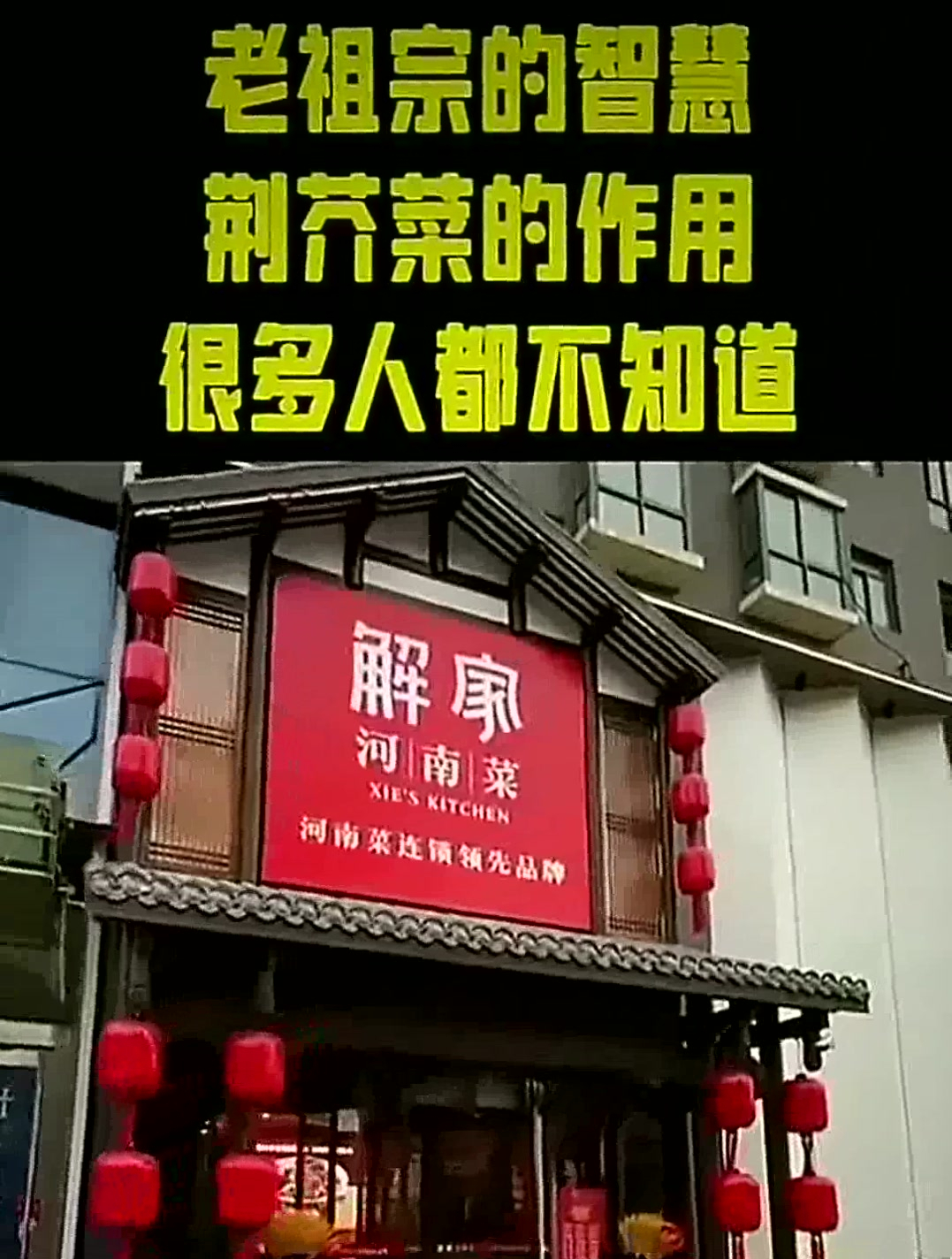 荆芥菜的作用,很多人都不知道!