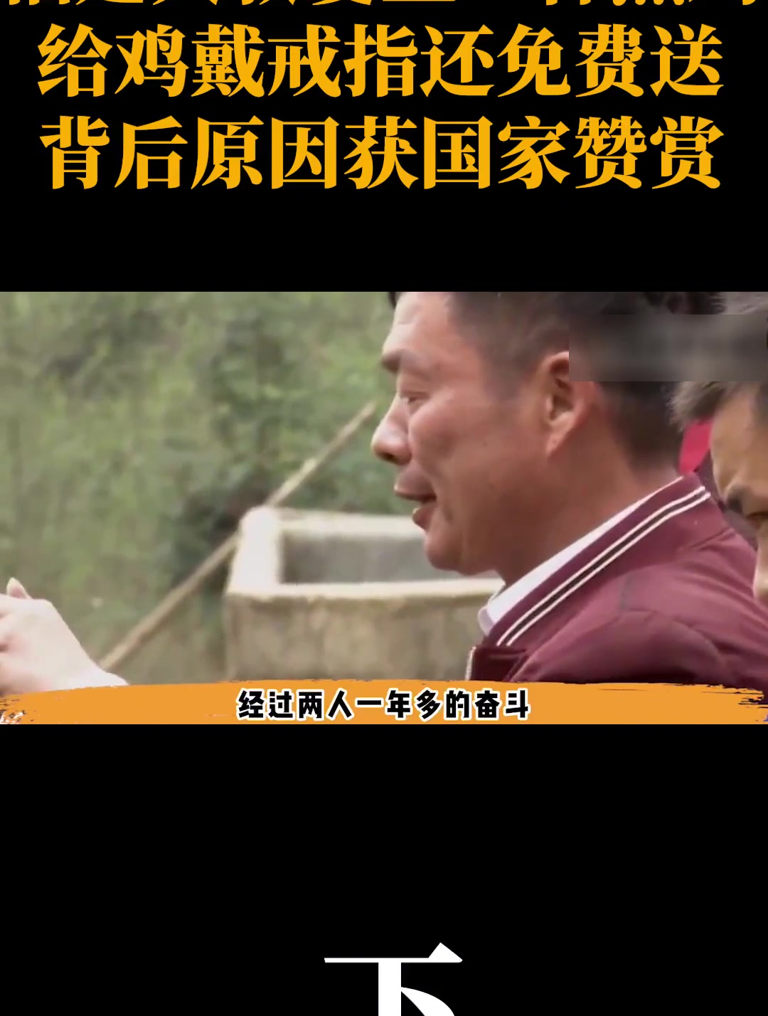 福建大叔爱上一种黑鸡,给鸡戴戒指还免费送(3)