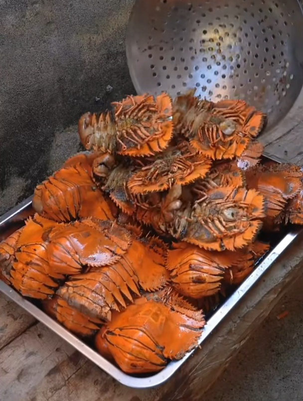 给小马云的琵琶虾,比小龙虾好吃多了