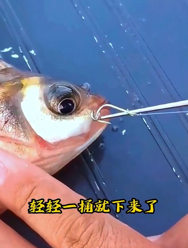 取钩器到底该怎么用?看看钓鱼大师如何操作,闭眼都能取!