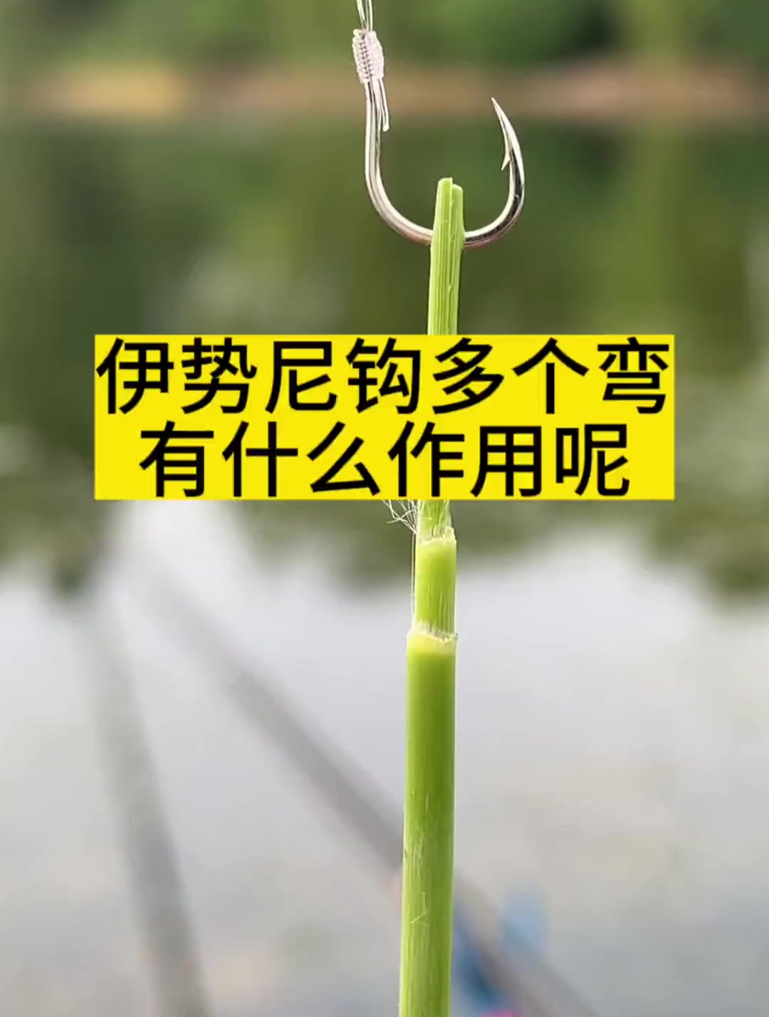 伊势尼钩多个弯?究竟有什么作用呢!